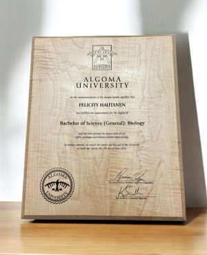 Custom Engraved Diploma Plaque on Hardwood